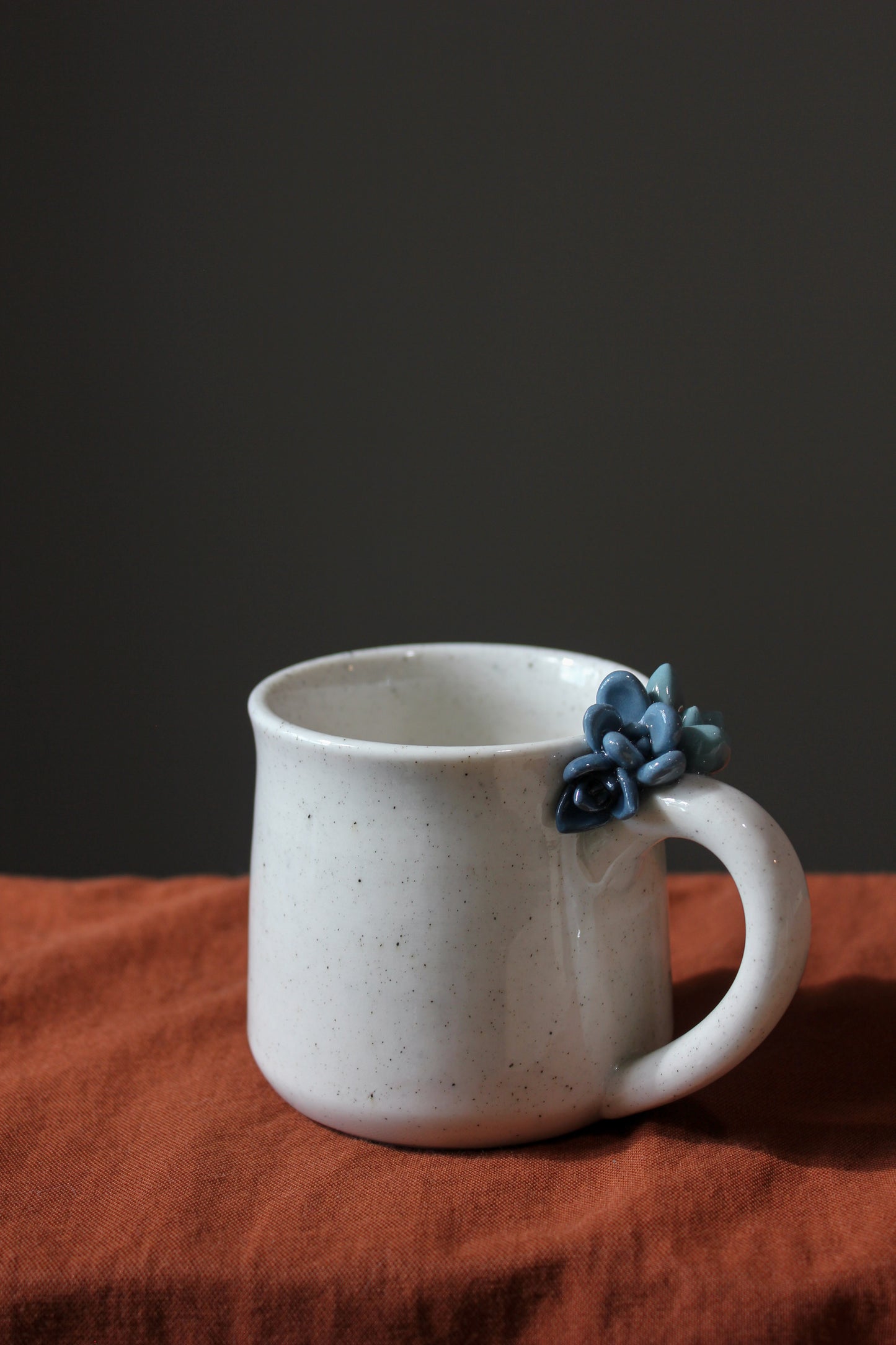 Succulent Mug - 11 oz