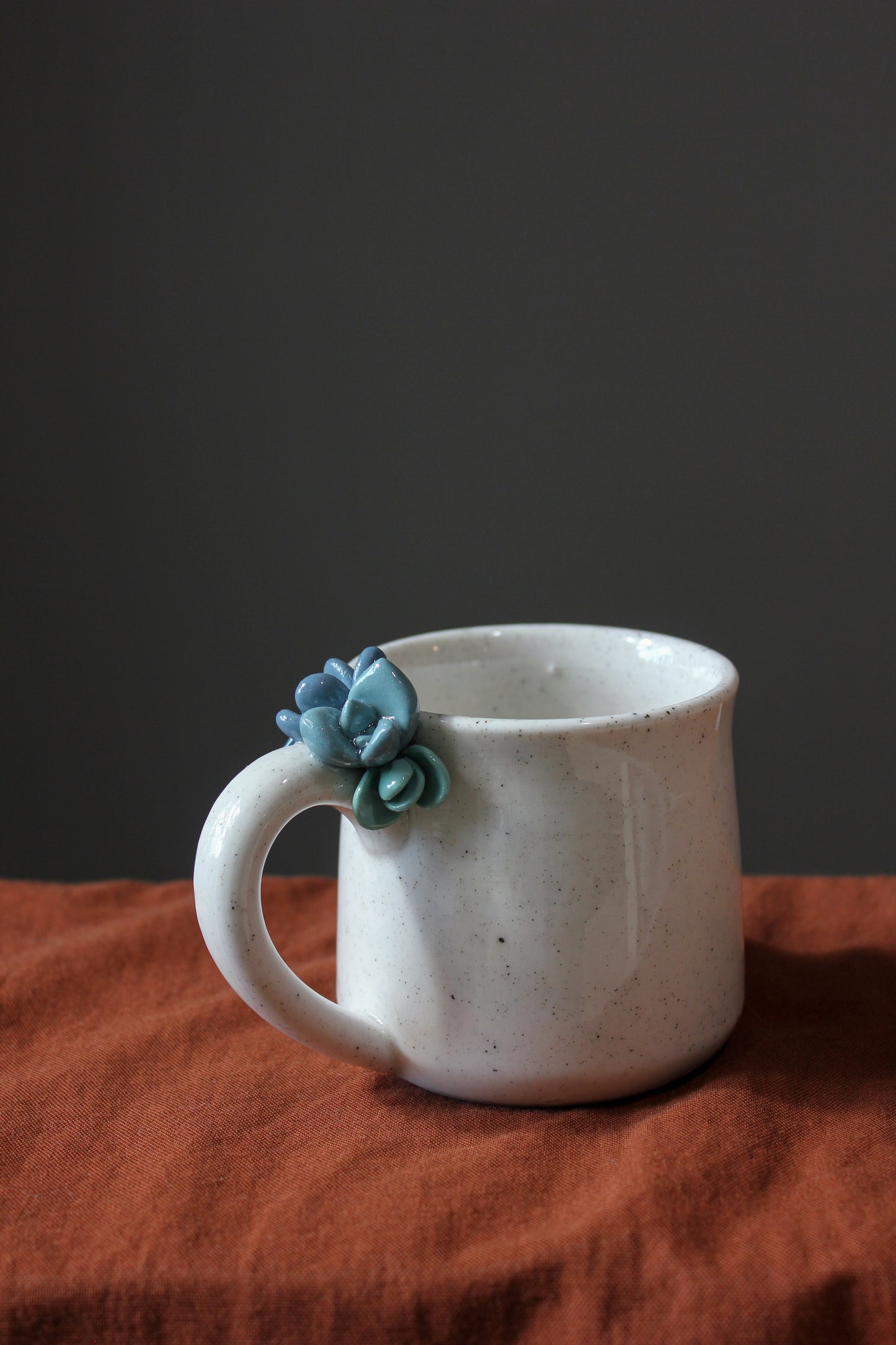 Succulent Mug - 11 oz