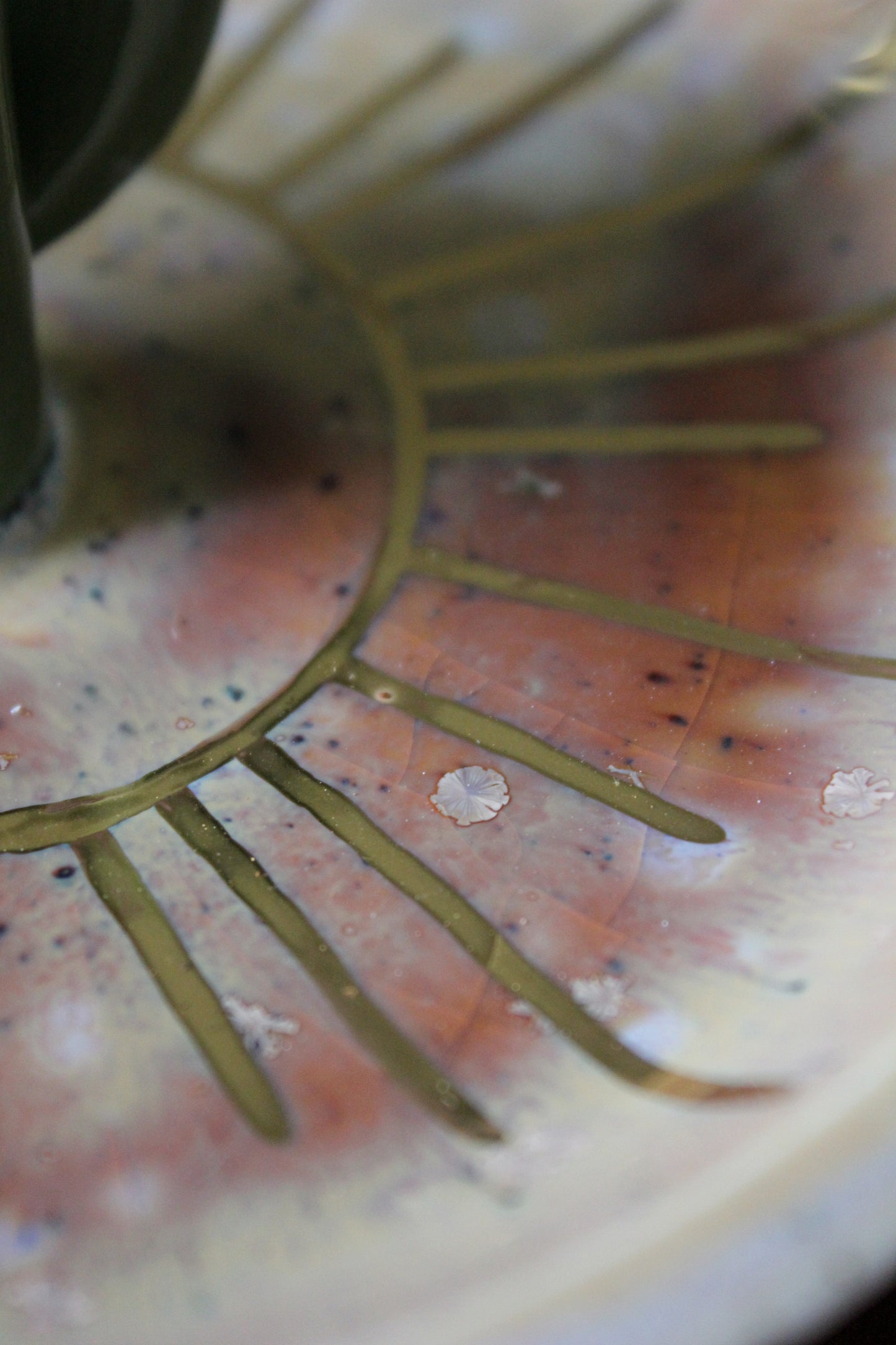 Cactus Sunshine Jewelry Dish
