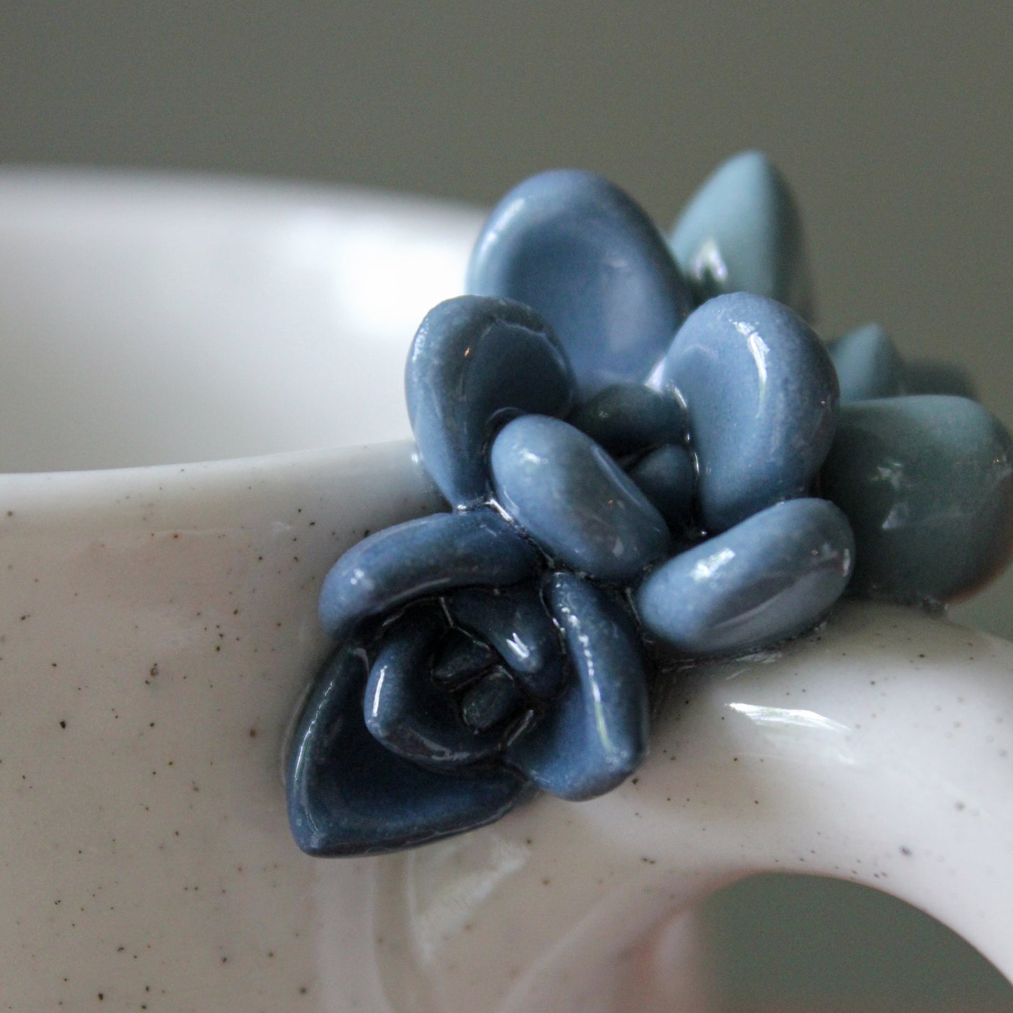 Succulent Mug - 11 oz