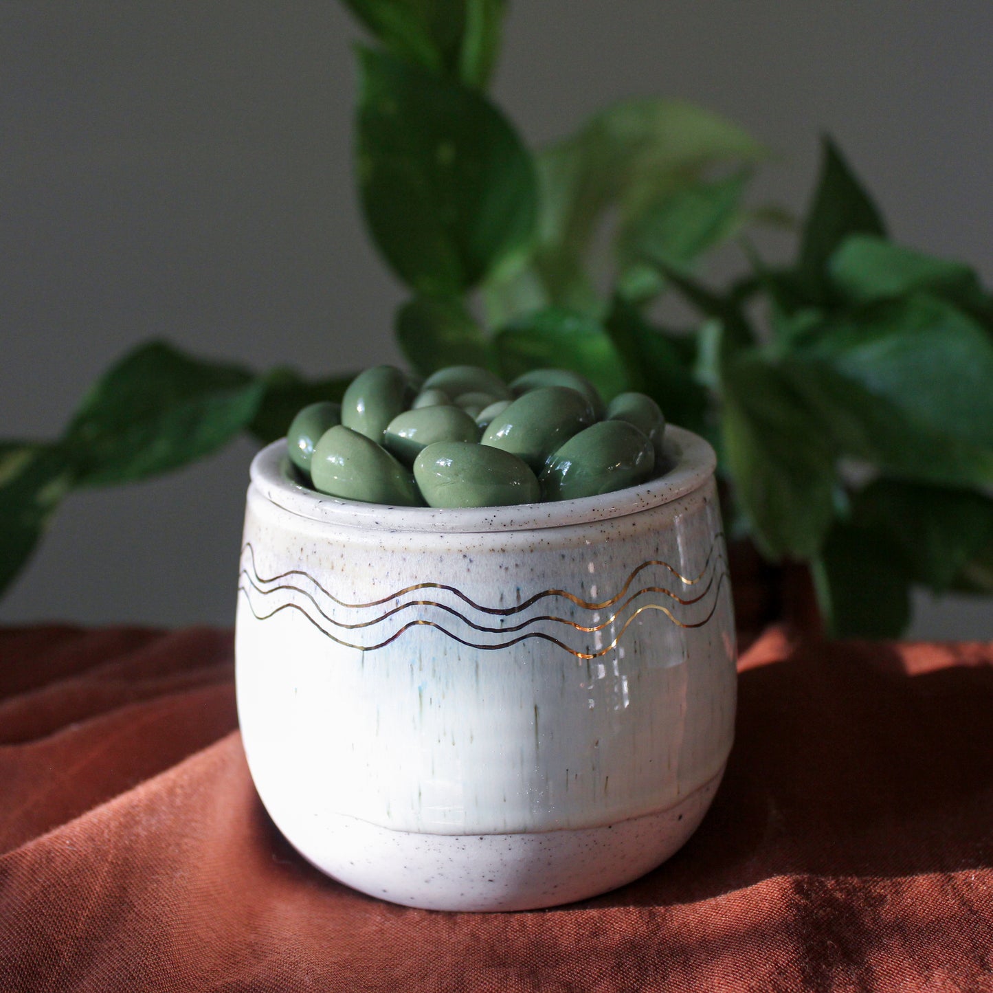 Small Succulent Jar