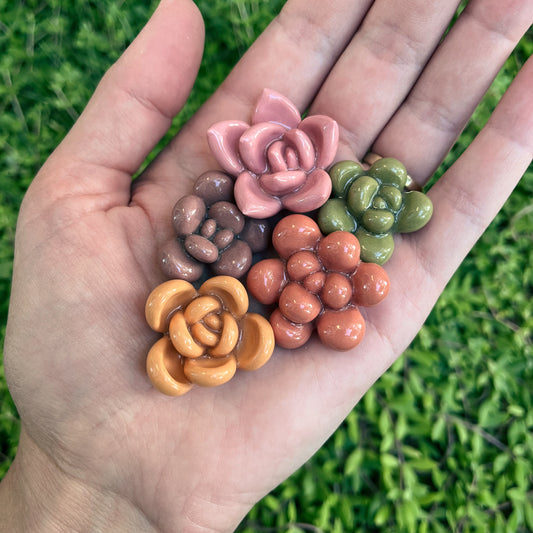 Succulent Magnets