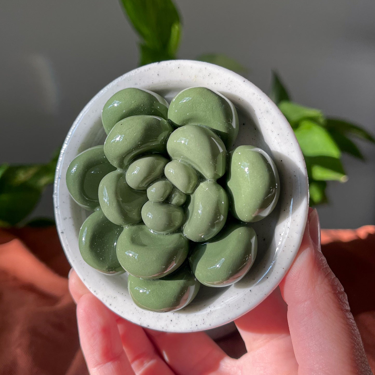 Small Succulent Jar