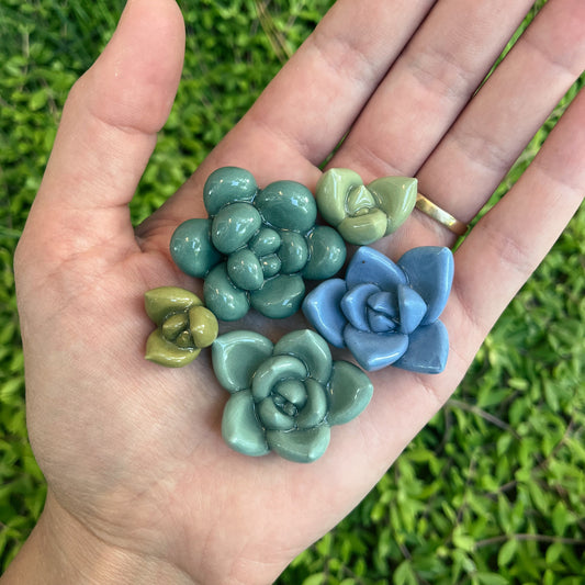 Succulent Magnets