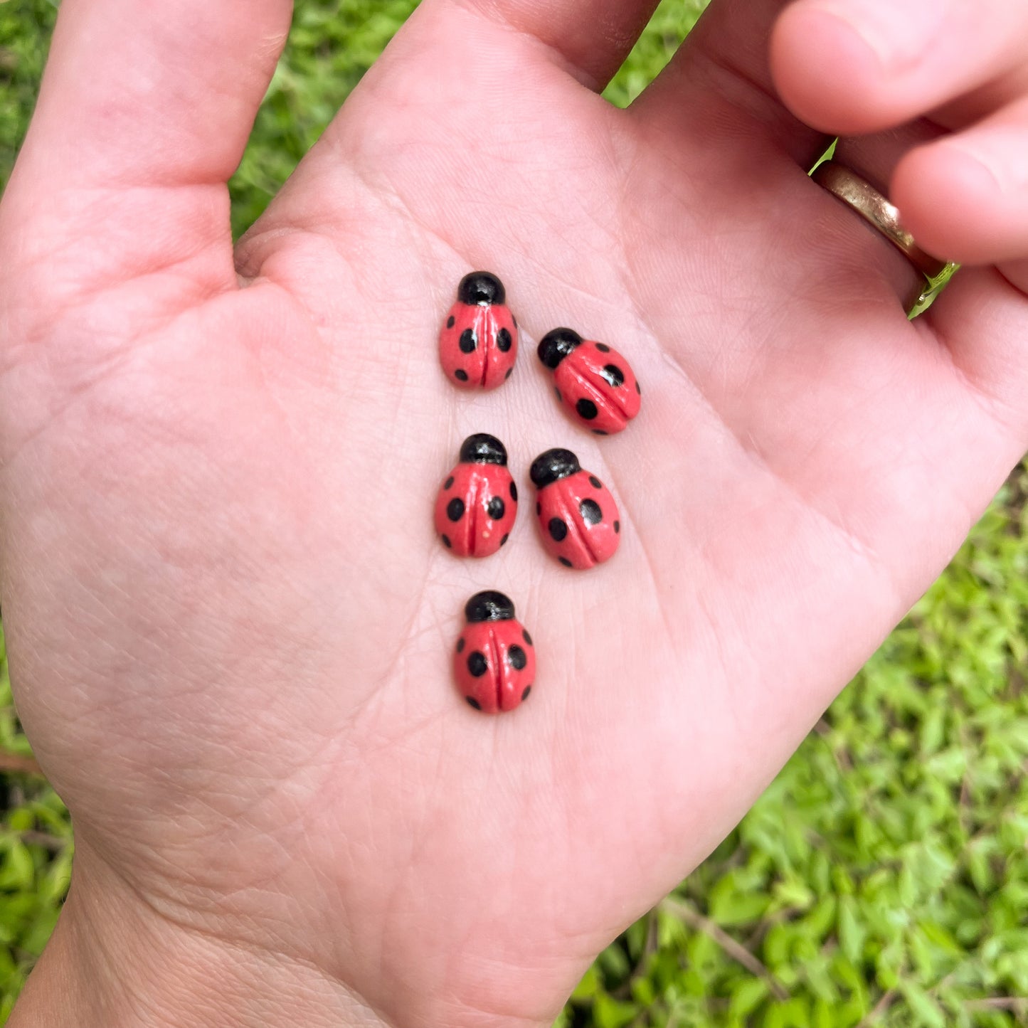 Ladybug Magnets (set of 5)