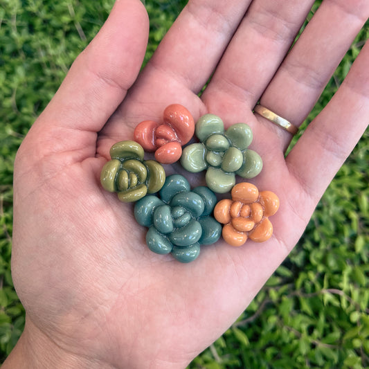 Succulent Magnets