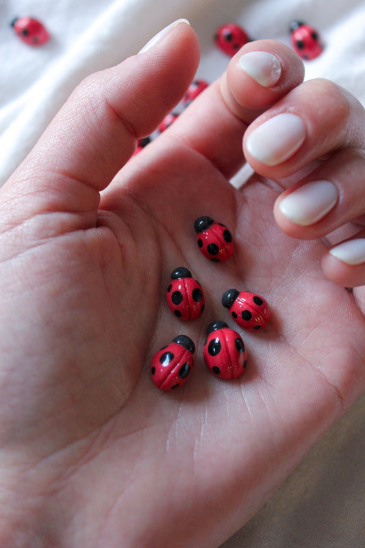 Ladybug Magnets (set of 5)