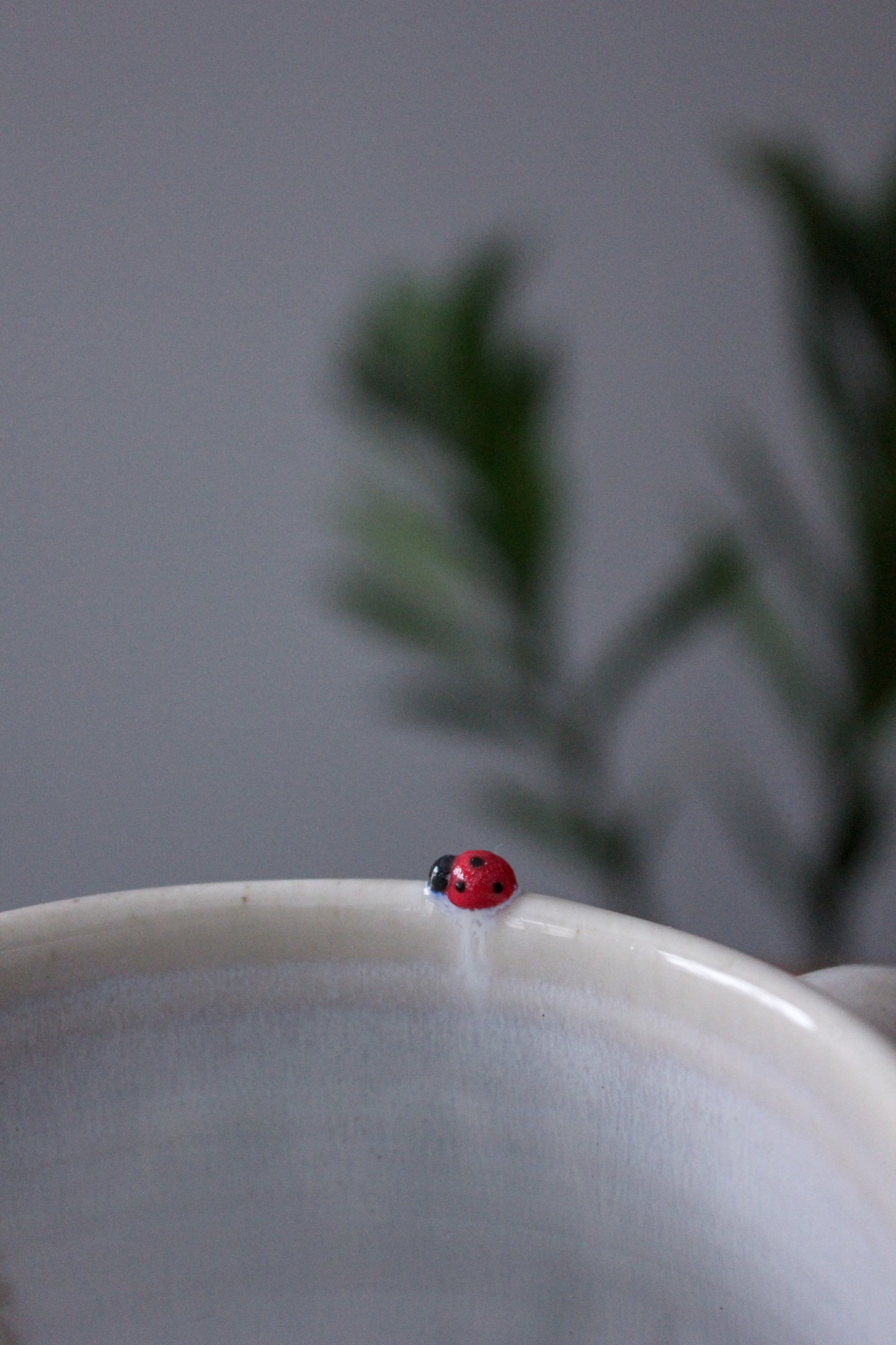 Latte Mug 🐞 - 14oz