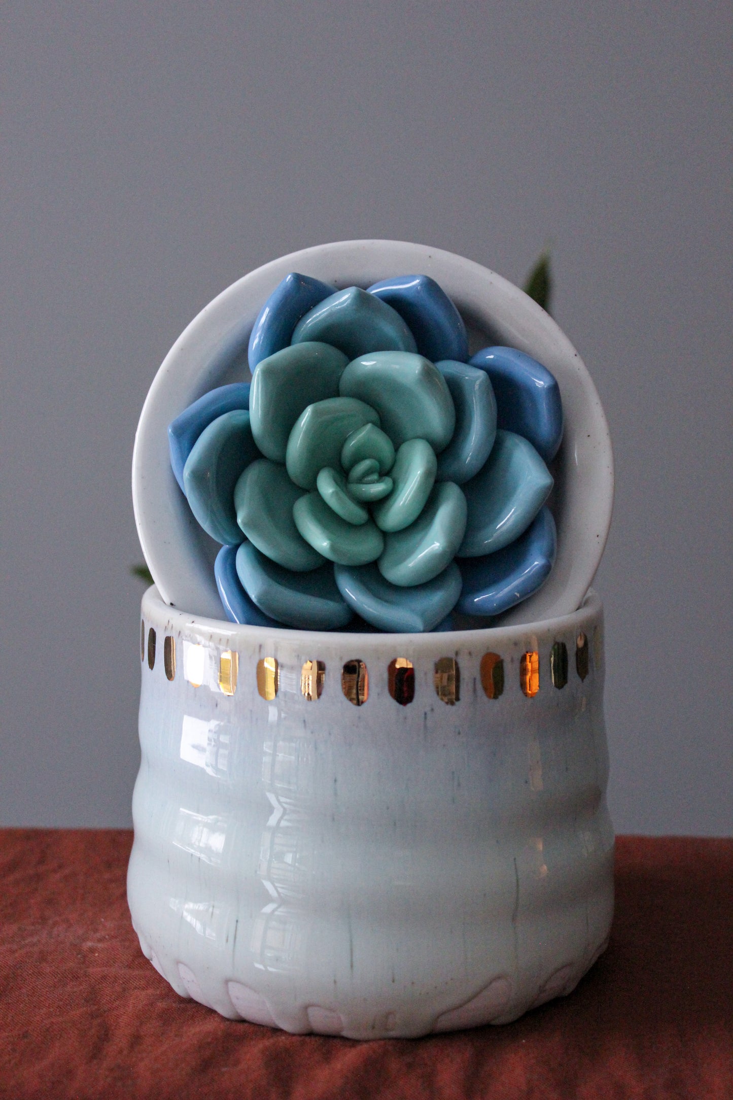 Large Succulent Jar