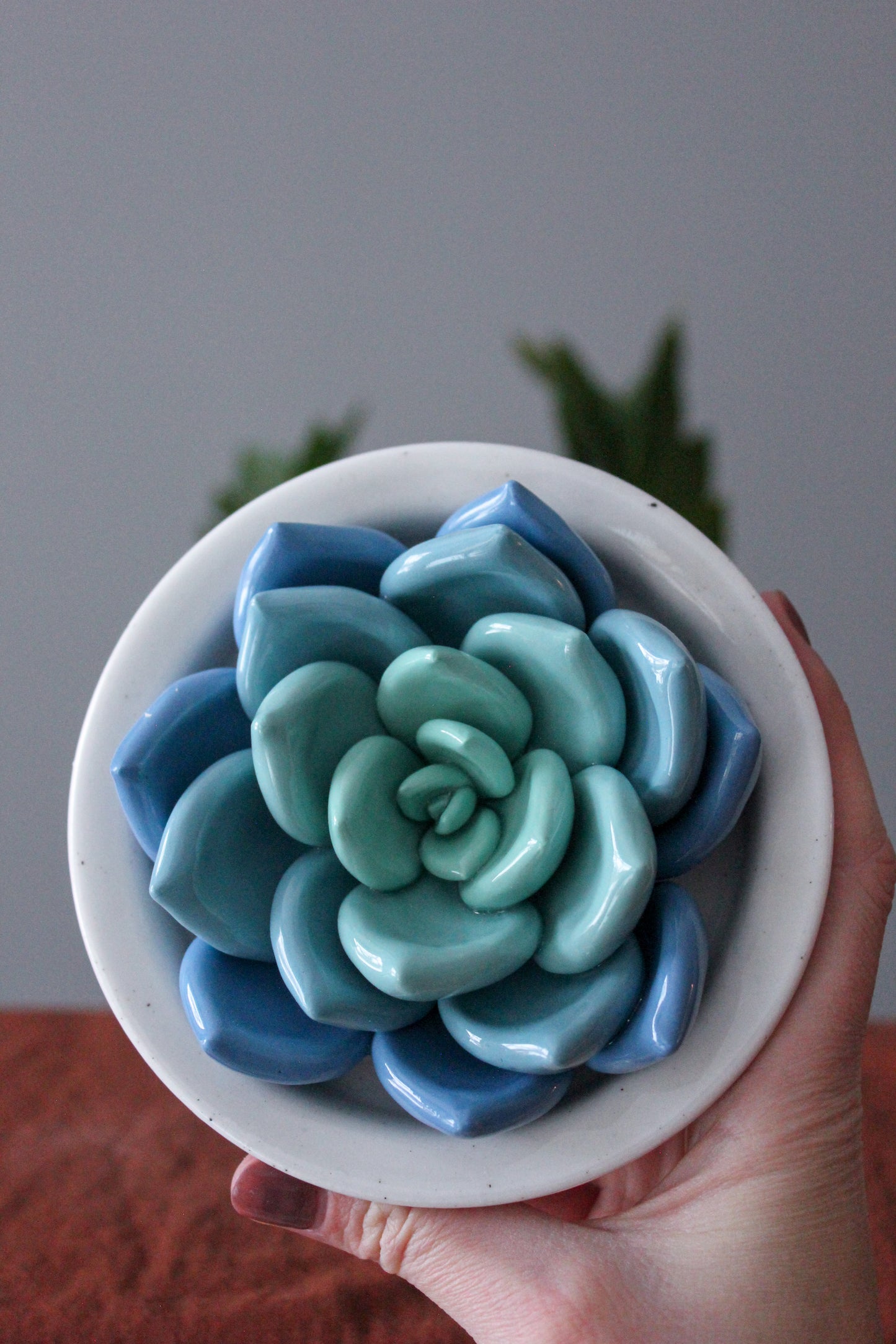 Large Succulent Jar