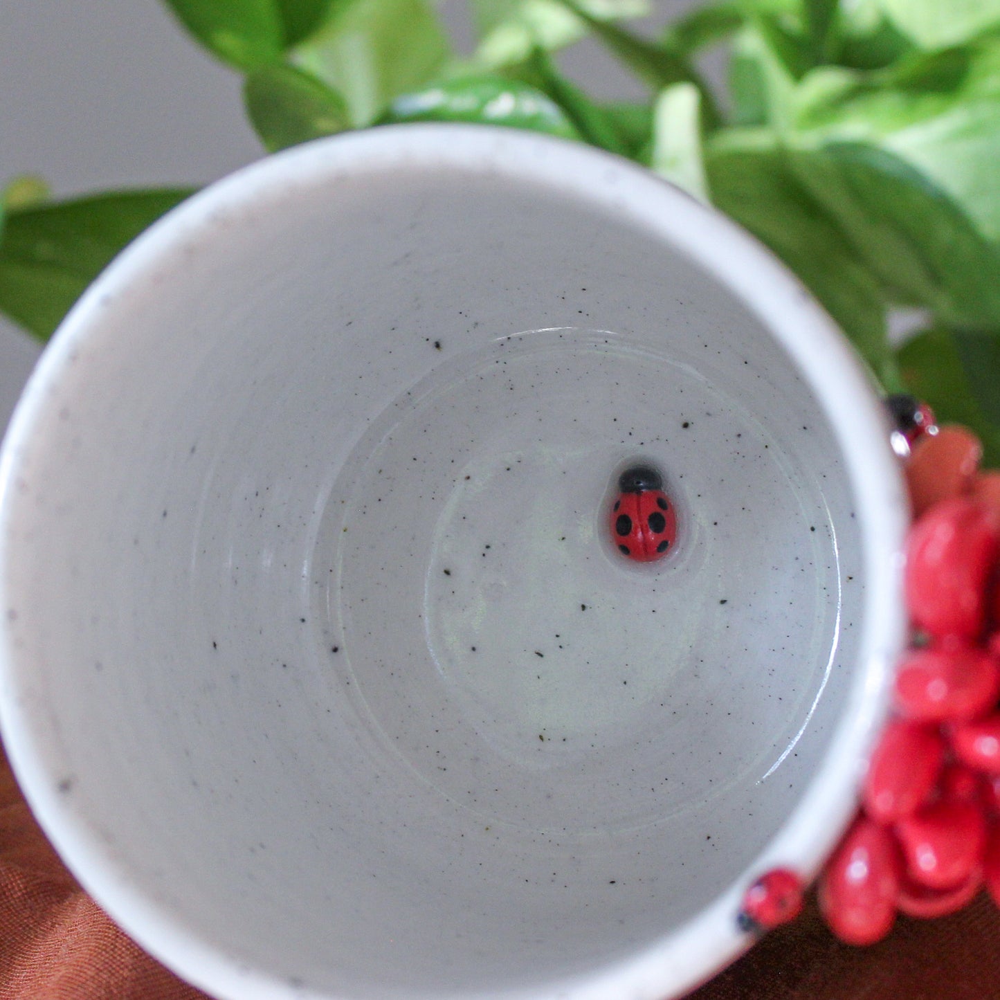 Ladybug Succulent Mug - 16 oz