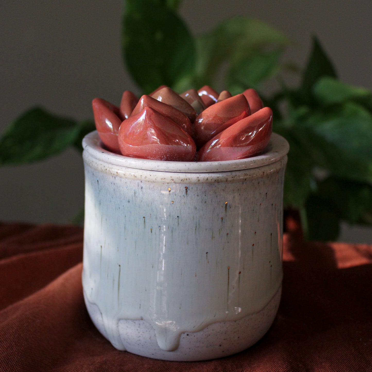 Iridescent Succulent Jar
