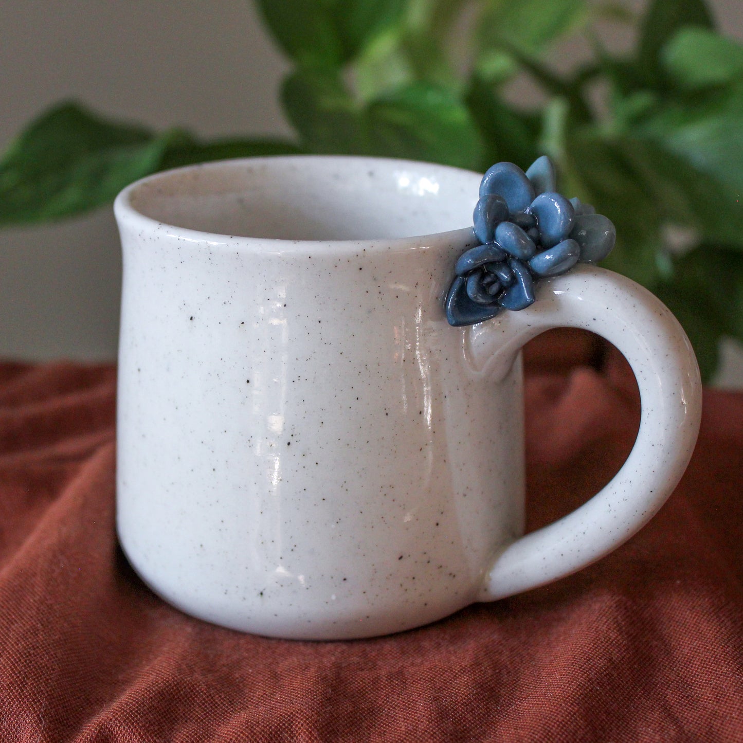 Succulent Mug - 11 oz